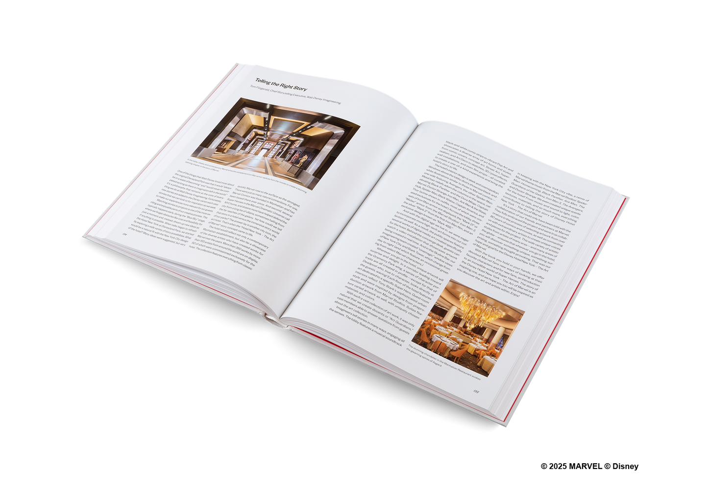 Disney Hotel New York: The Art of Marvel Book