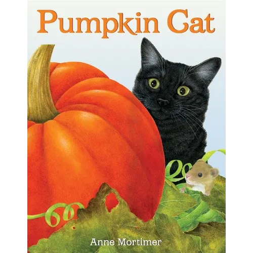 Pumpkin Cat