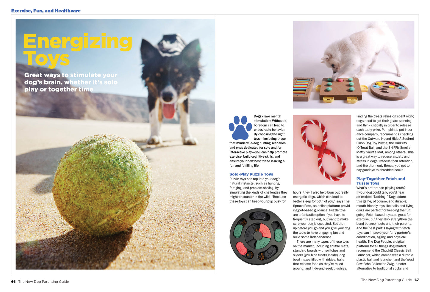 Guide to Dog Parenting - Expert Tips for a Well Adjusted Dog Toys That Stimulate Training & Tricks Humane Grooming Finding The Right Vet