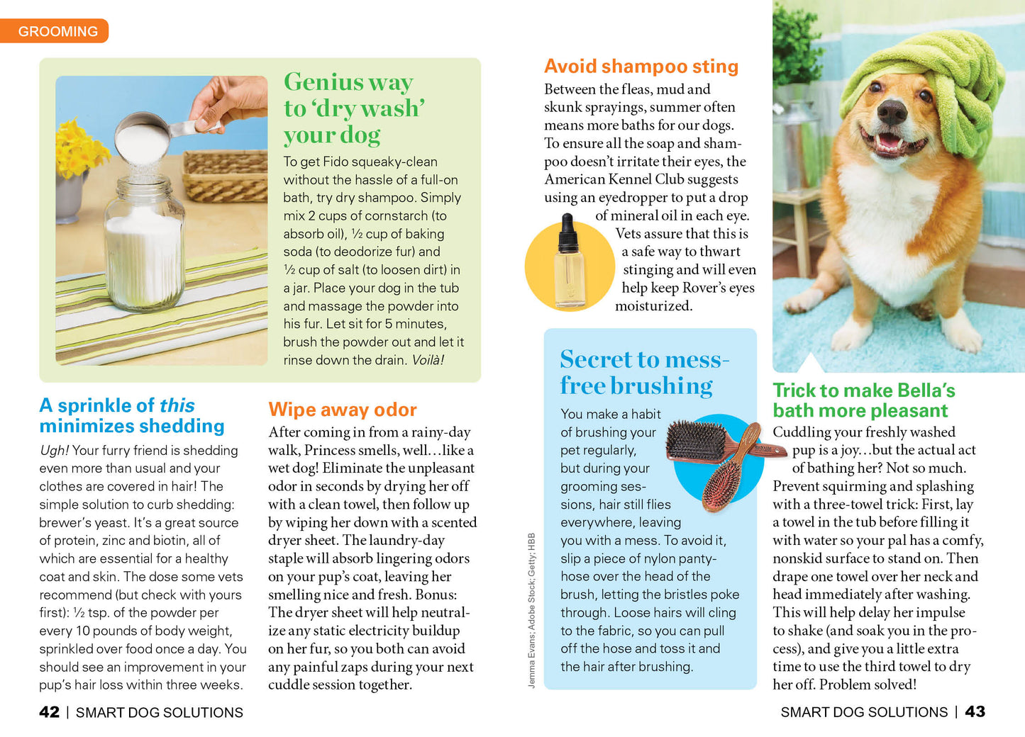 First For Women Specials - Smart Dog Solutions: 175 Genius Tips to Treat Your Pup Right ... For Less! Discover Ways To Banish Drool Marks, Soothe Firework Fears, Craft DIY Pet Stairs & More!