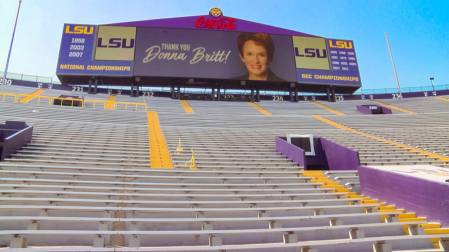 100 Years in Death Valley: How Tiger Stadium Became One of the Most Legendary Venues in American Sports Book