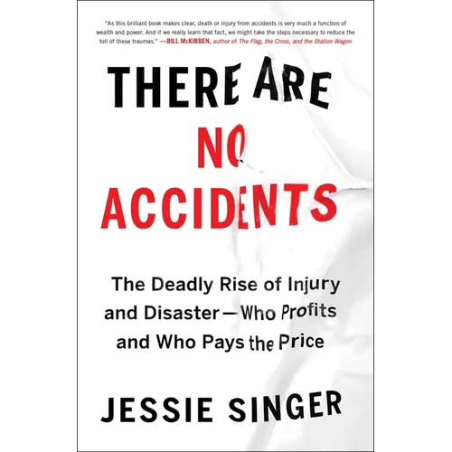 There Are No Accidents: The Deadly Rise of Injury and Disaster--Who Profits and Who Pays the Price