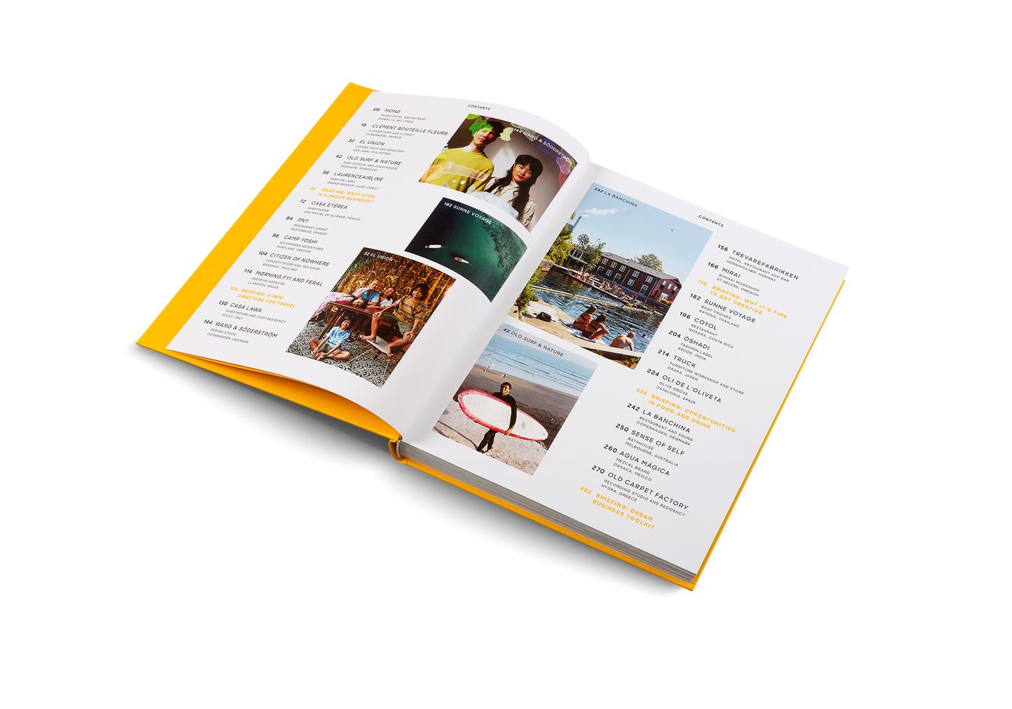 Dream Businesses Book
