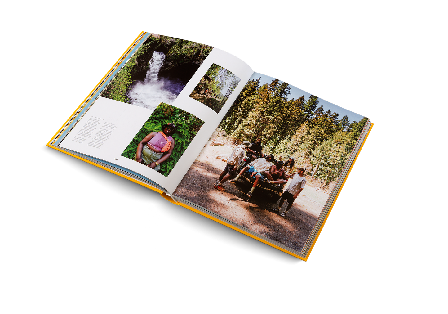 Dream Businesses Book