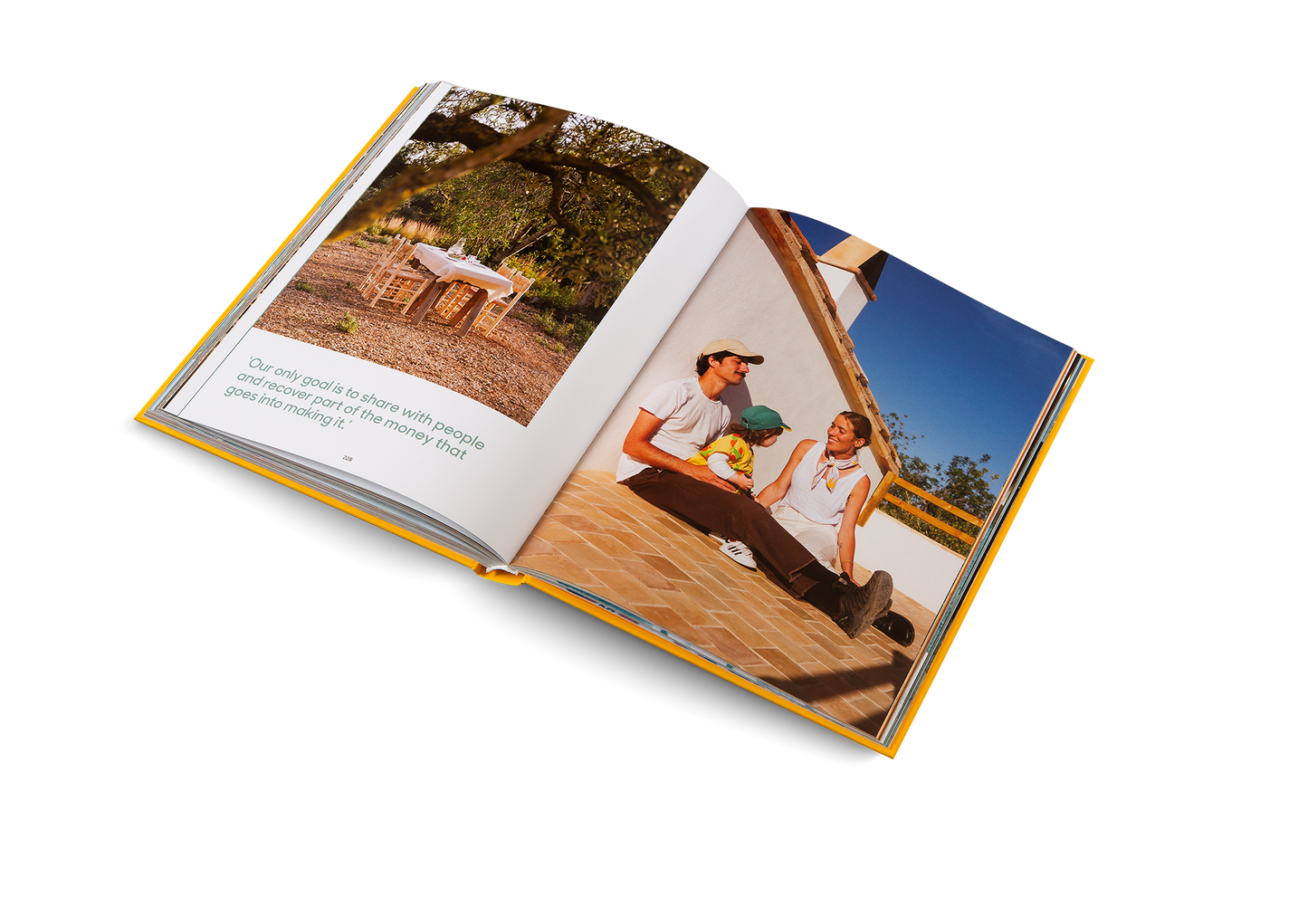 Dream Businesses Book