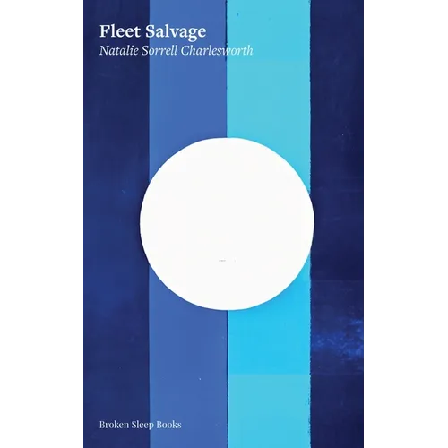 Fleet Salvage