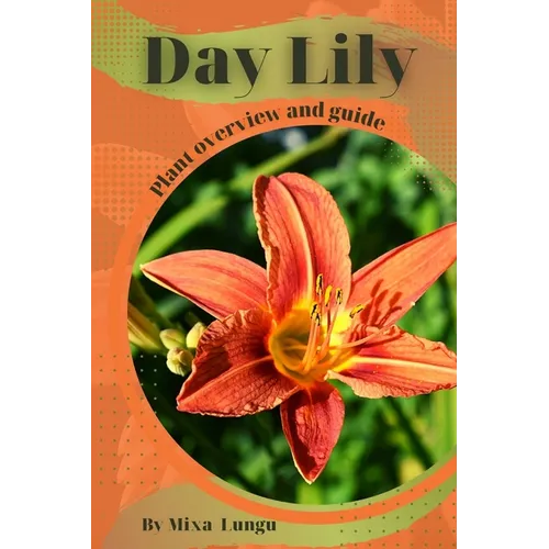 Day Lily: Plant overview and guide
