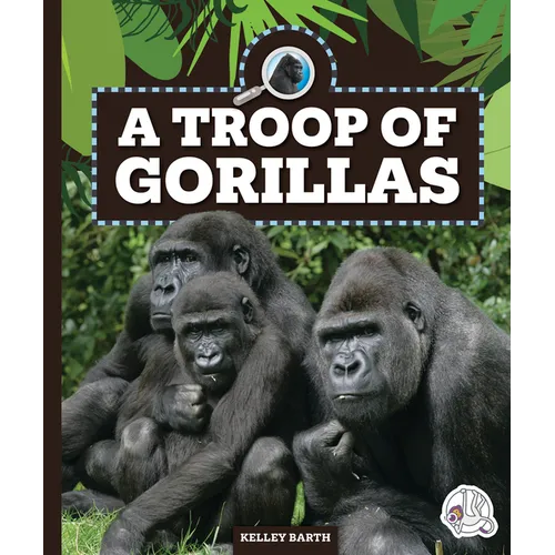 A Troop of Gorillas