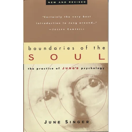 Boundaries of the Soul: The Practice of Jung's Psychology