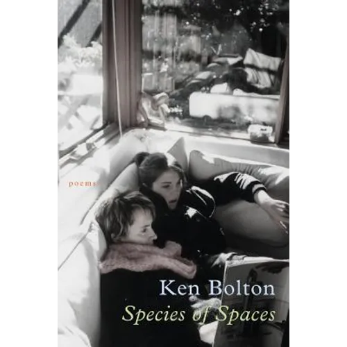 Species of Spaces