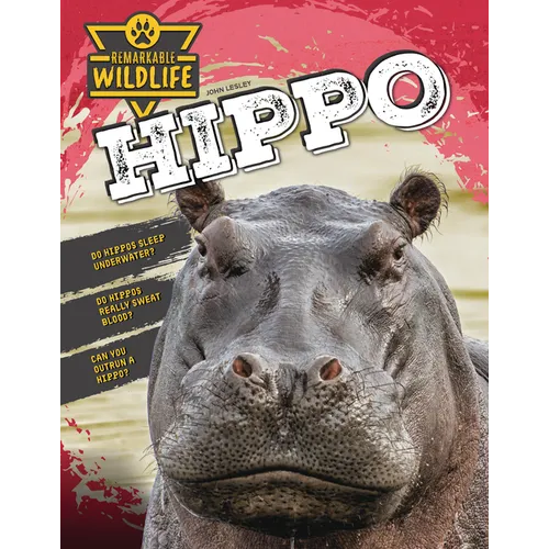 Hippo