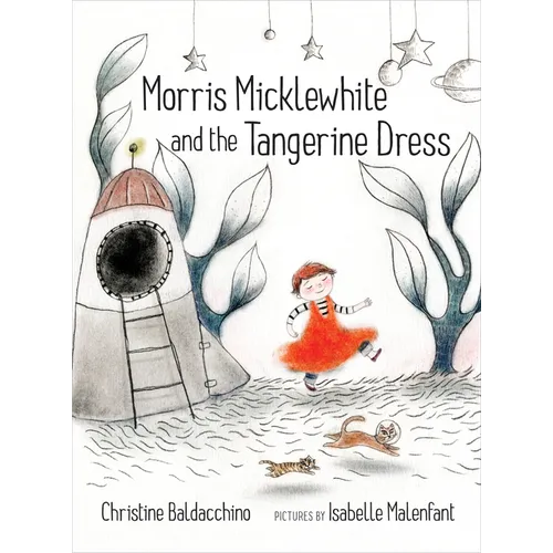Morris Micklewhite and the Tangerine Dress