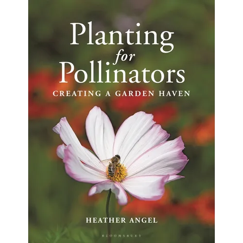 Planting for Pollinators: Creating a Garden Haven