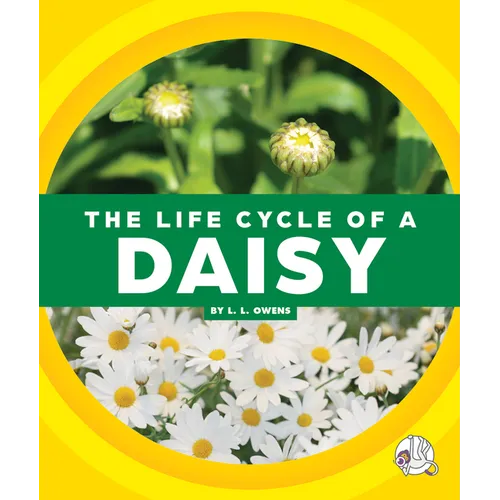 The Life Cycle of a Daisy