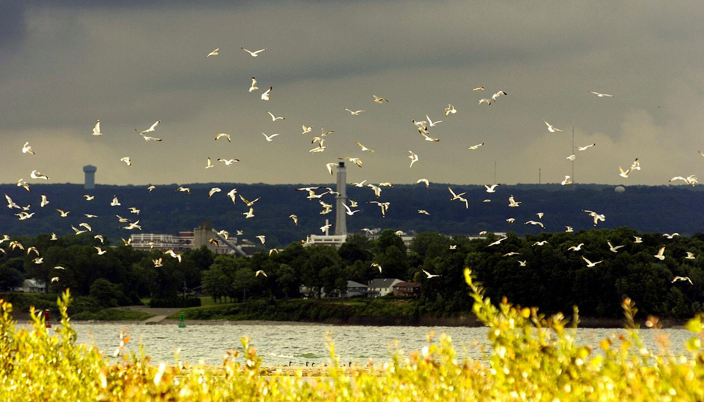 Reflections of: Presque Isle: A Visual Journey Book