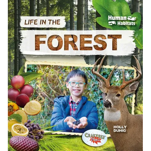 Life in the Forest