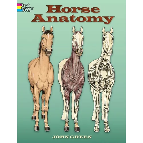 Horse Anatomy Coloring Book