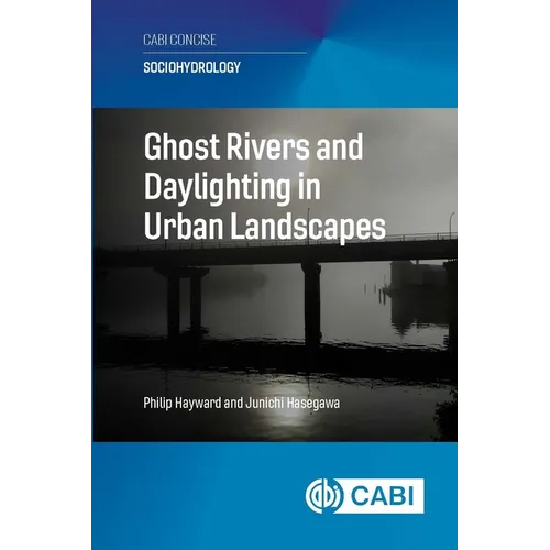 Ghost Rivers and Daylighting in Urban Landscapes