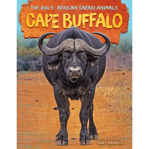 Cape Buffalo