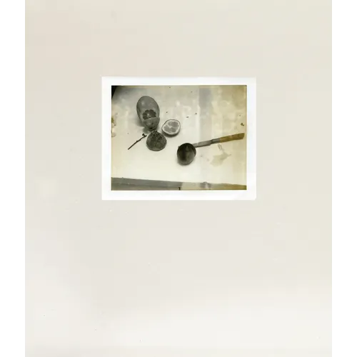 Laura Letinsky: Time's Assignation: The Polaroids