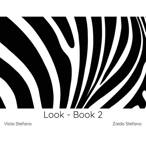 Look - Book 2: VI