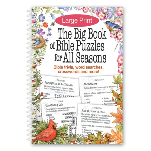 The Big Book of Bible Puzzles for All Seasons