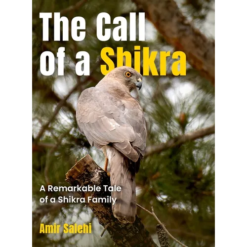 The Call of a Shikra: A Remarkable Tale of a Shikra Family