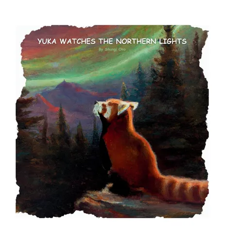 Yuka watches the Northern Lights
