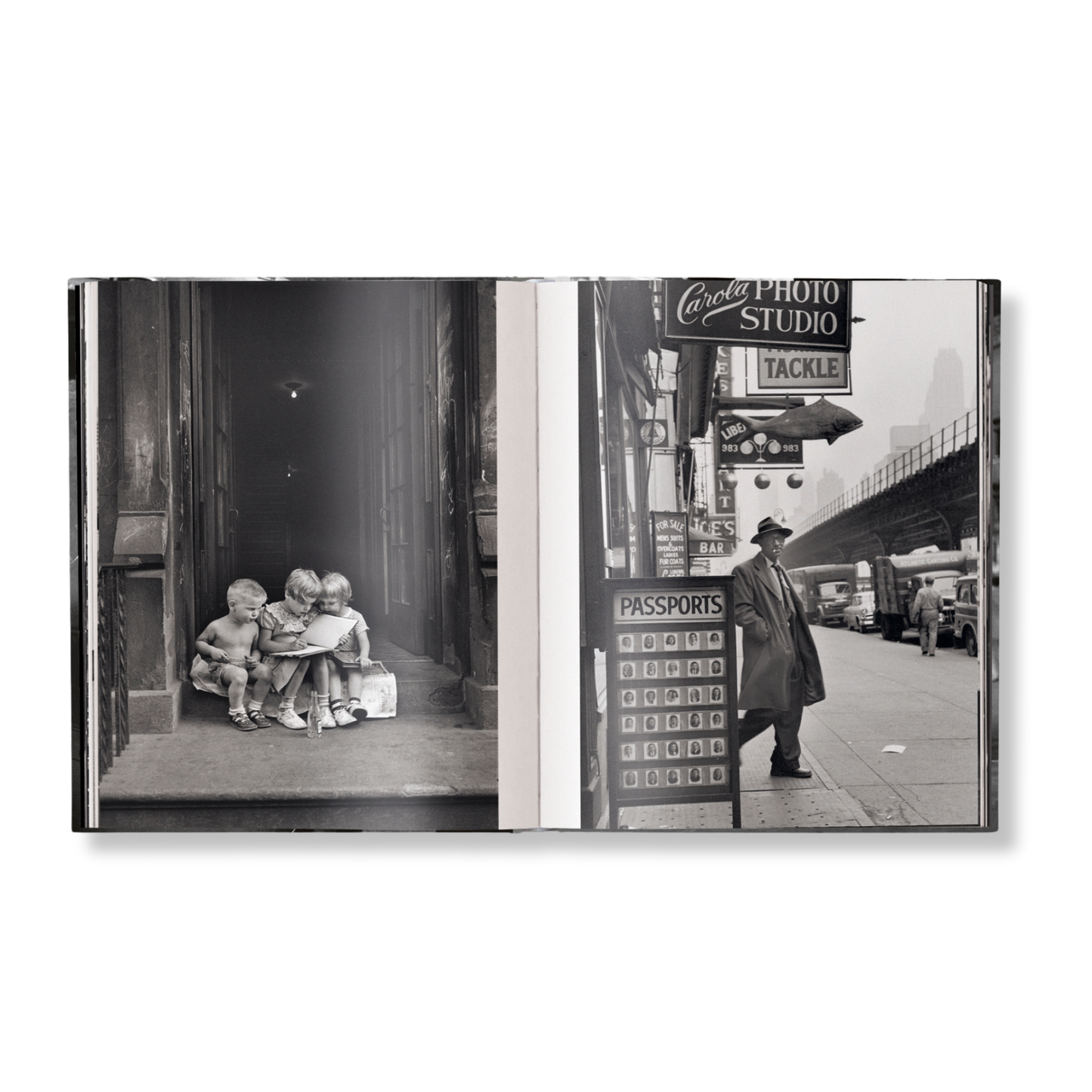 Elliott Erwitt's New York Book