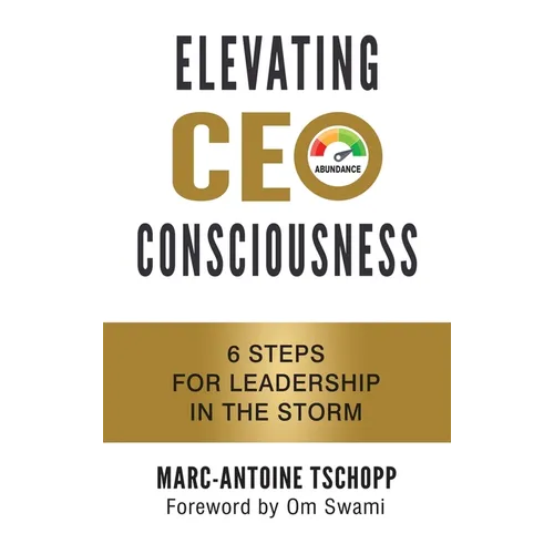 Elevating CEO Consciousness: 6 Steps for Leadership in the Storm
