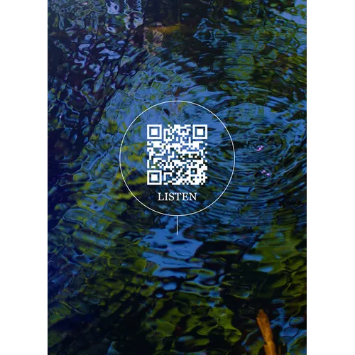 Wetland Project: Explorations in Sound, Ecology and Post-Geographical Art
