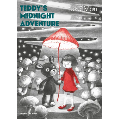 Teddy's Midnight Adventure