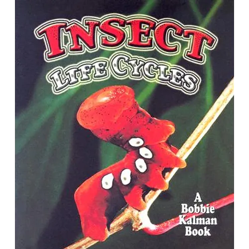 Insect Life Cycles