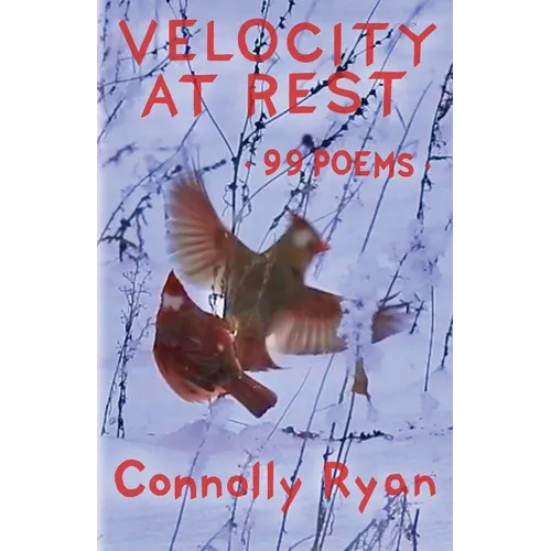 Velocity at Rest: 99 Poems