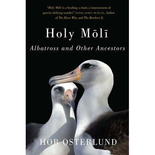 Holy Moli: Albatross and Other Ancestors