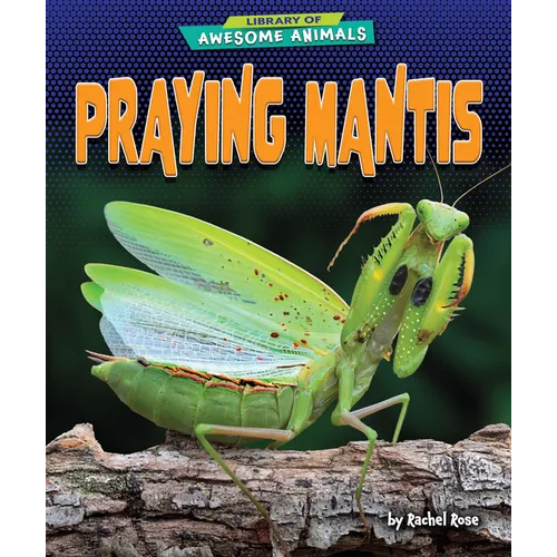 Praying Mantis