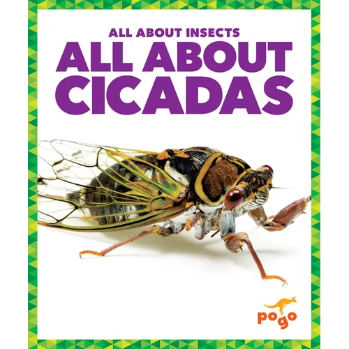 All about Cicadas