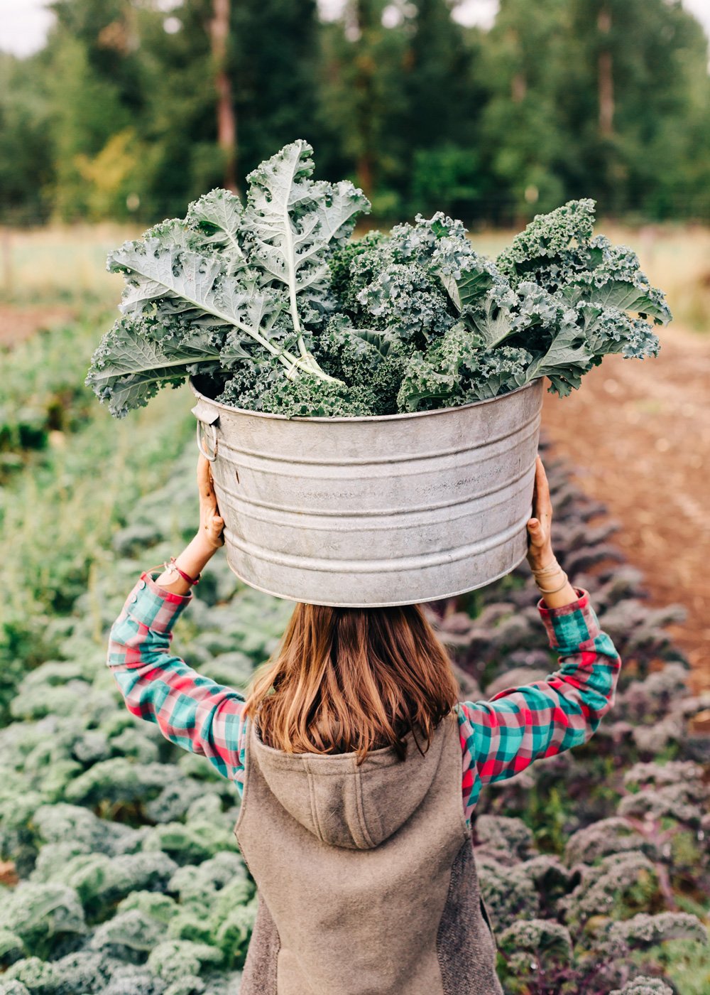 Farmlife Book