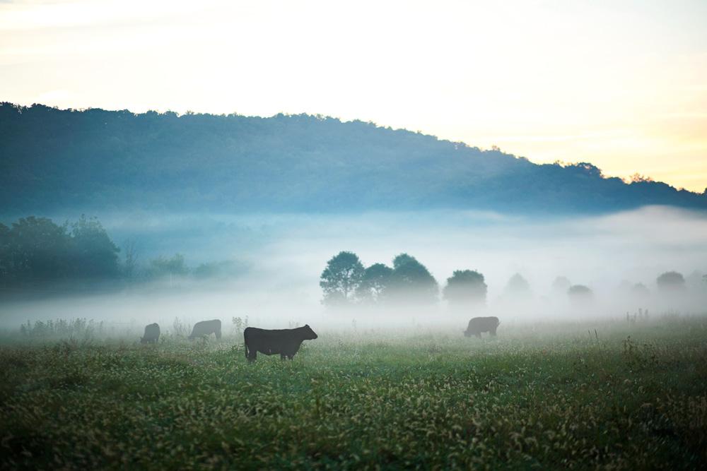 Farmlife Book