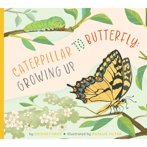 Caterpillar to Butterfly: Growing Up