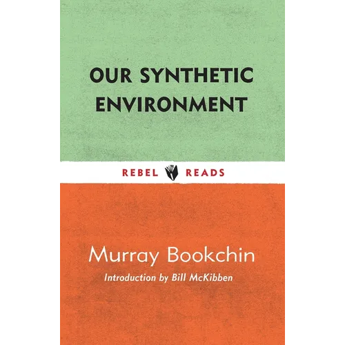 Our Synthetic Environment