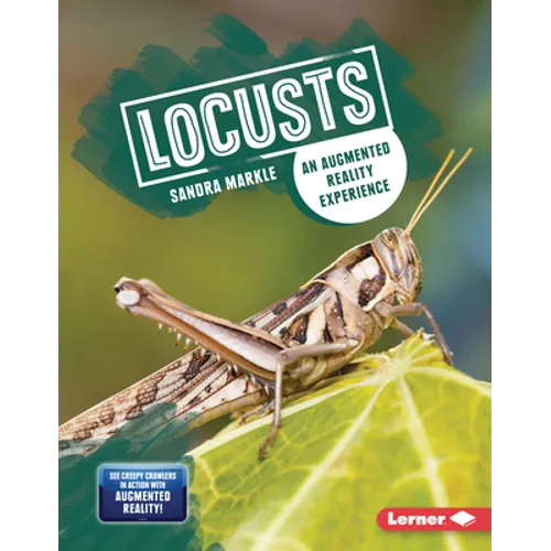 Locusts: An Augmented Reality Experience