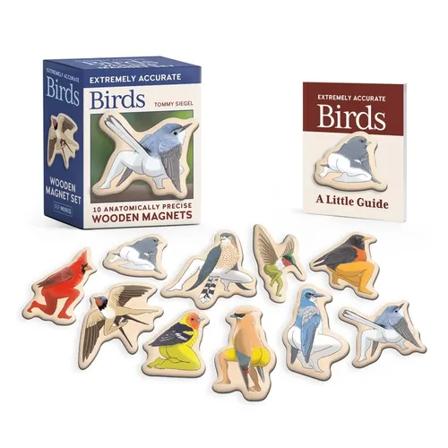 Extremely Accurate Birds Wooden Magnet Set: 10 Anatomically Precise Magnets