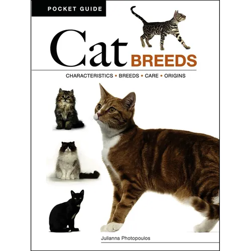 Cat Breeds: Characteristics * Breeds * Care * Origins