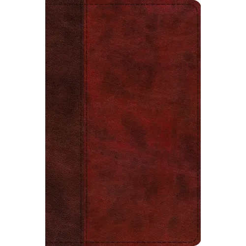 ESV Large Print Thinline Bible (Trutone, Burgundy/Red, Timeless Design)