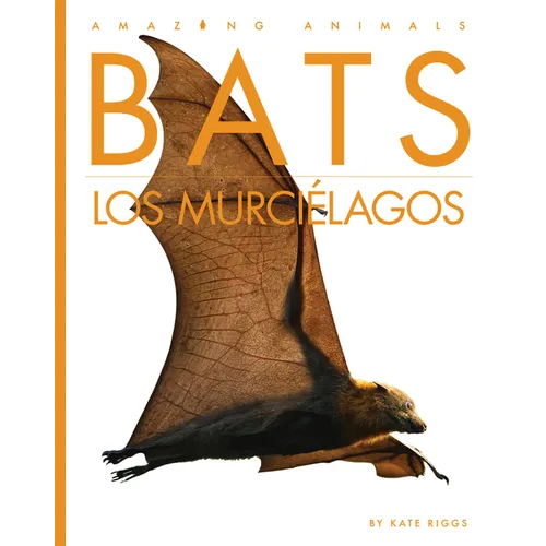 Bats / Los Murciélagos