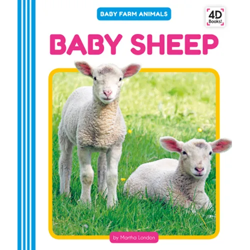 Baby Sheep