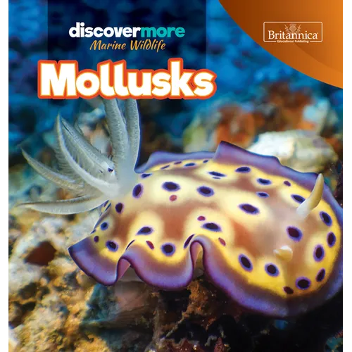 Mollusks
