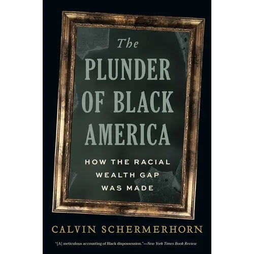 The Plunder of Black America: How the Racial Wealth Gap Was Made