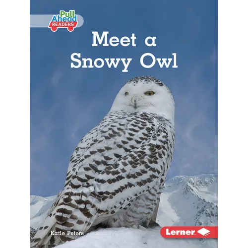 Meet a Snowy Owl